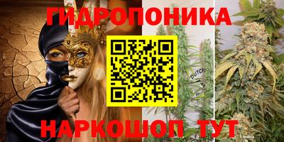 jwh Нальчик