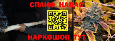ешки Моздок