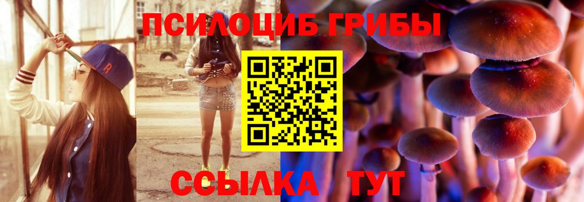 Сунжа  Галлюциногенные грибы Cubensis  где найти наркотики  Вход с VPN  Галлюциногенные грибы Cubensis 
